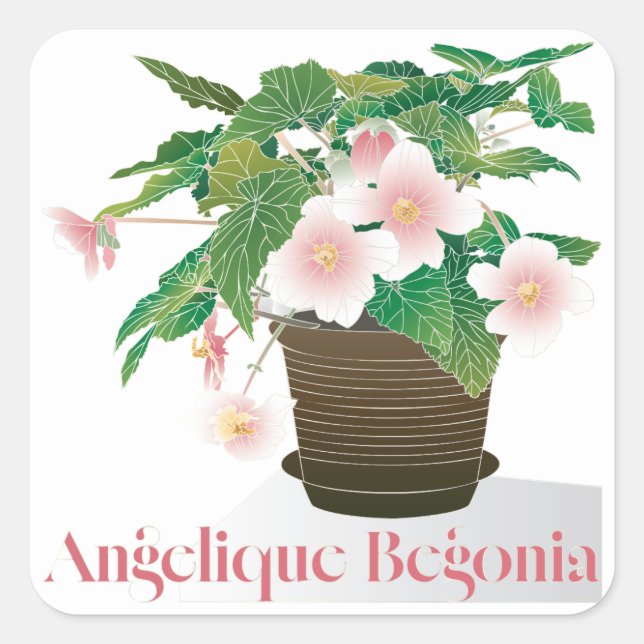 Adesivos de Begônia (Frente)