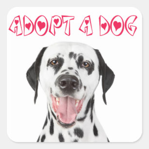 Adesivos de Boas-Vindas de Cachorro Dalmatino para