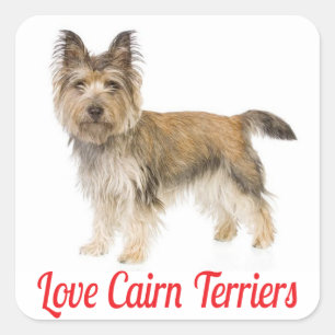 Adesivos de Boas-Vindas do Cachorrinho Cairn Terri