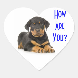 Adesivos de Boas-Vindas do Cachorrinho Rottweiler