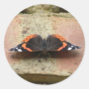 Adesivos de Borboleta do Almirante Vermelho