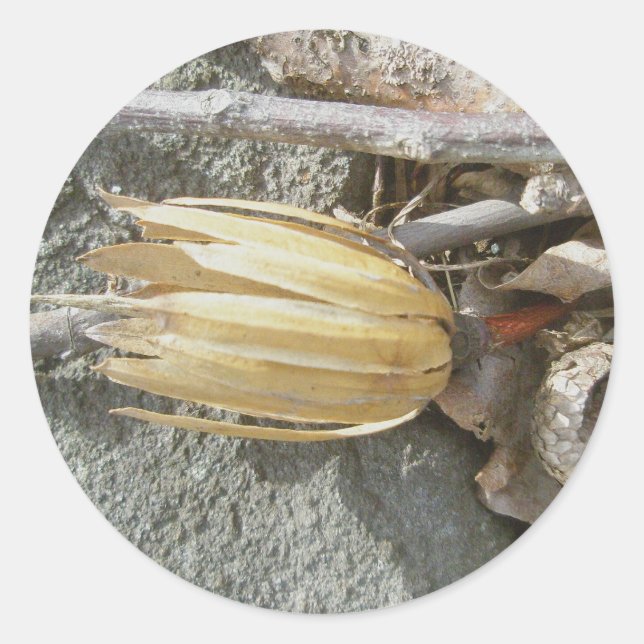 Adesivos De Cabeça De Pôplar De Tulipas (Frente)