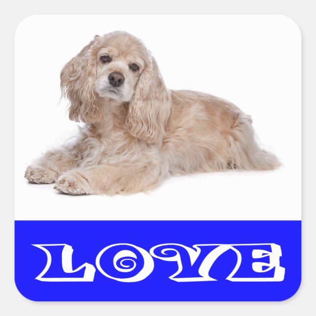Adesivos de Cachorro da Raça Cocker Spaniel Filhot (Frente)