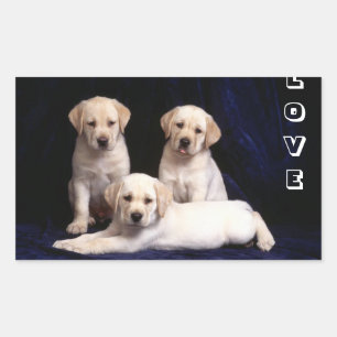 Adesivos de Cachorro da Raça Labrador Retriever Am