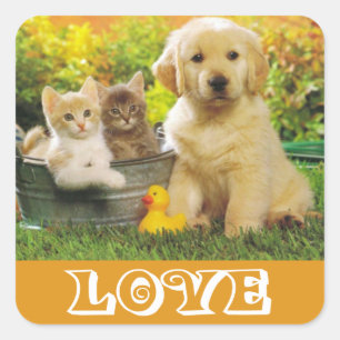 Adesivos de Cachorro Filhote Golden Retriever Amor
