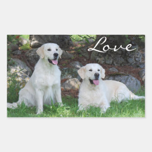Adesivos de Cachorro Filhote Retriever Golden Amor