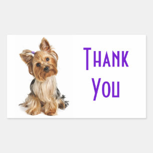 Adesivos de Cachorro Filhote Yorkshire Terrier Obr