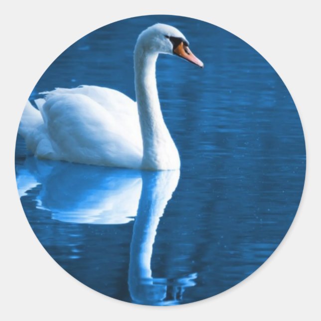 Adesivos de Cisne Sem Mudo (Frente)
