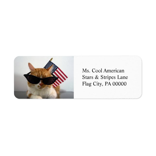Adesivos de Endereço de Devolução Cool Cat com Ban (Frente)