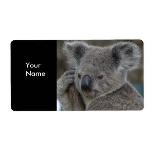 Adesivos de Endereço Koala Bears