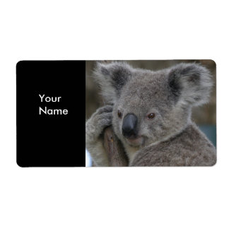 Adesivos de Endereço Koala Bears