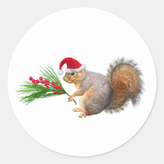 Adesivos de Esquilo de Natal Evergreens