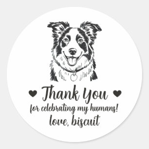 Adesivos de Favor de Casamento de Cachorro Border