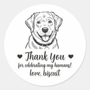 Adesivos de Favor de Casamento de Cachorro Labrado