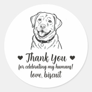 Adesivos de Favor de Casamento de Cachorro Labrado