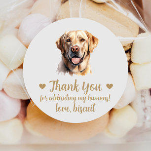 Adesivos de Favor de Casamento de Cachorro Labrado