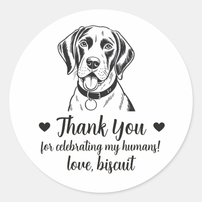 Adesivos de Favor de Casamento de Cachorro Pointer (Frente)