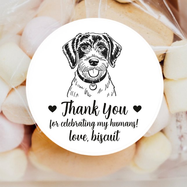 Adesivos de Favor de Casamento de Cachorro Pointer (Criador carregado)