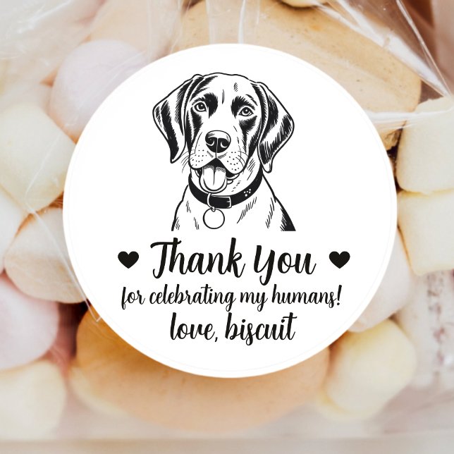 Adesivos de Favor de Casamento de Cachorro Pointer (Criador carregado)