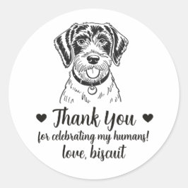 Adesivos de Favor de Casamento de Cachorro Pointer