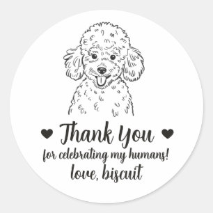 Adesivos de Favor de Casamento de Cachorro Poodle 