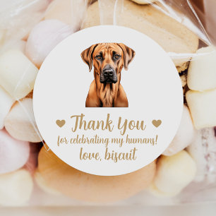 Adesivos de Favor de Casamento de Cachorro Rhodesi