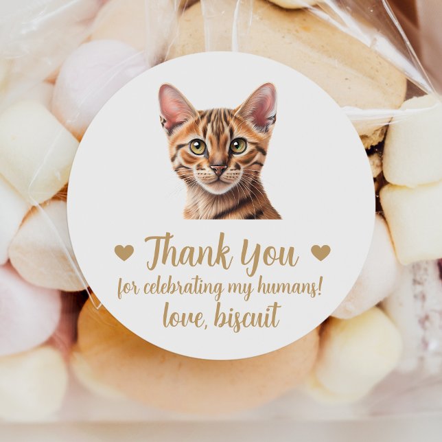 Adesivos de Favor de Casamento de Gato Tabby Perso (Criador carregado)