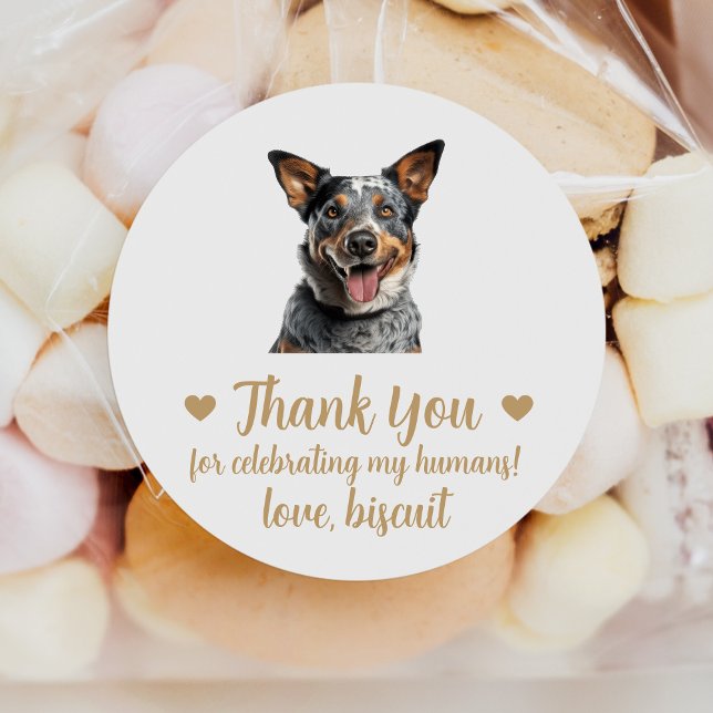 Adesivos de Favor de Casamento do Cão de Gado Aust (Criador carregado)