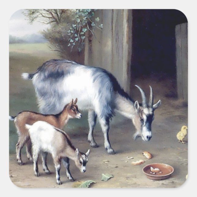 Adesivos de fazenda de cabras e galinhas (Frente)