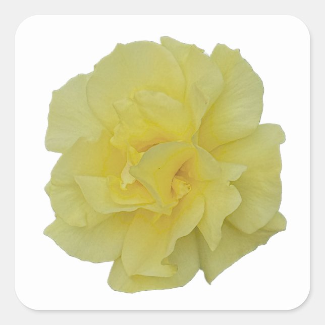 Adesivos de Flor Amarela (Frente)