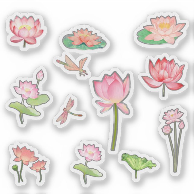 Adesivos de Flor de Lótus Rosa (Frente)