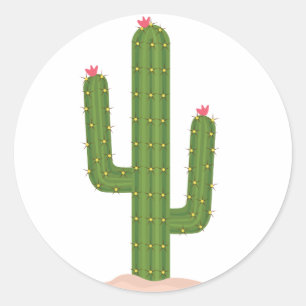 Adesivos de Flor Rosa de Cactus Verde