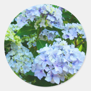 Adesivos de Flores de Hortênsia Azul Jardim Verão