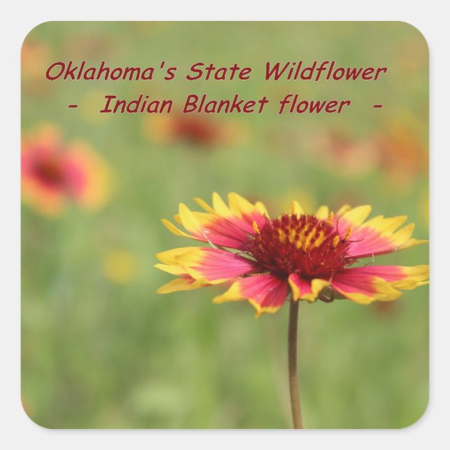 Adesivos de Flores do Estado de Oklahoma (Frente)