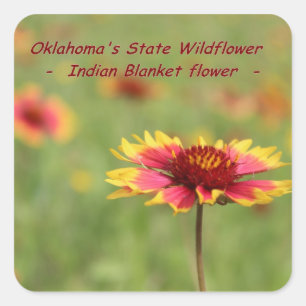 Adesivos de Flores do Estado de Oklahoma