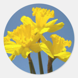 Adesivos de Flores Narcisos da Primavera selos de