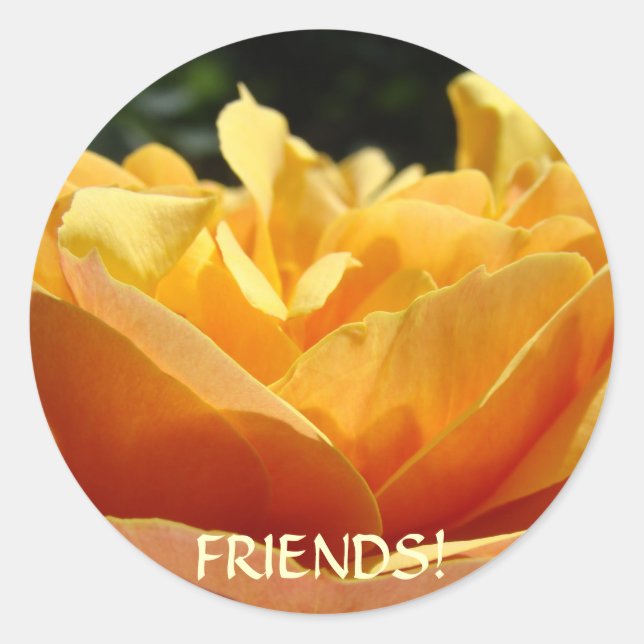 Adesivos de Flores Rosa AMIGOS Presentes de Amizad (Frente)