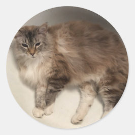 Adesivos de Gato