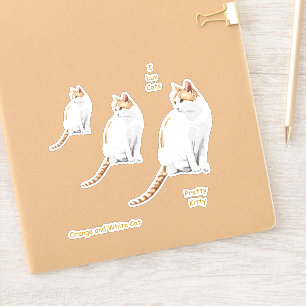 Adesivos de Gato de Cor Laranja e Branca