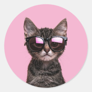 ADESIVOS DE GATO LEGAL FOFO TABBY