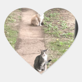 Adesivos de Gatos