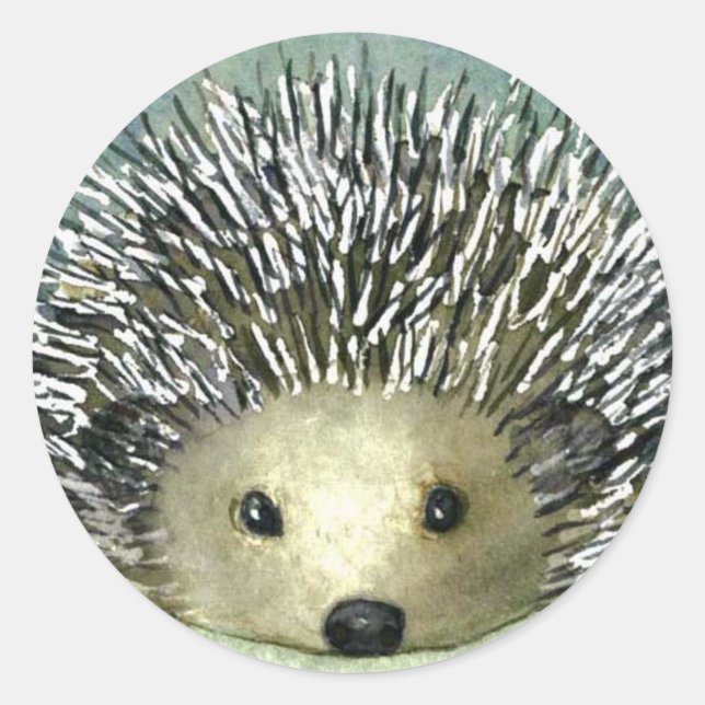 Adesivos de Hedgehogs Bonitos (Frente)