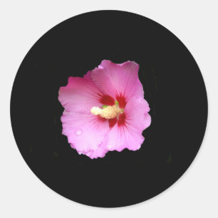 Adesivos de Hibiscus Rosa