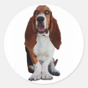 Adesivos de Imagem de Hound Basset