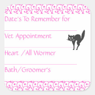 Adesivos de Lembrete Rosa Gato