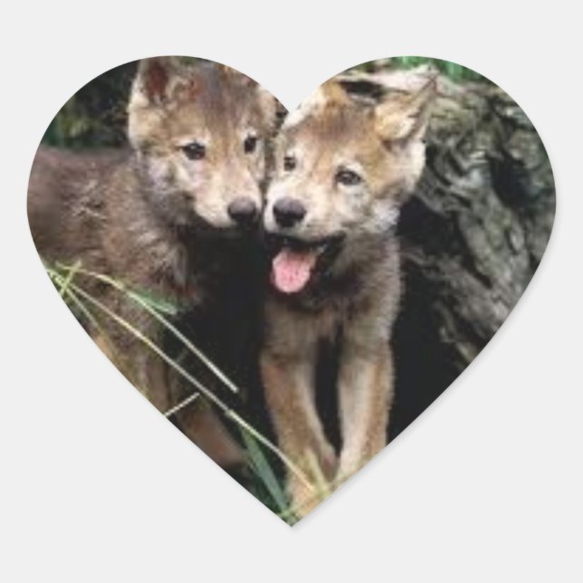 adesivos de lobo (Frente)