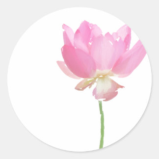 Adesivos de Lótus Rosa Pintada