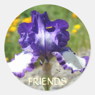 ADESIVOS DE MELHOR AMIGO Flores de Íris Roxo Prese