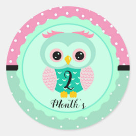 Adesivos de Mês de Bebê