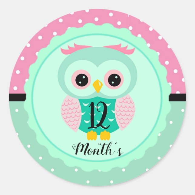 Adesivos de Mês de Bebê (Frente)